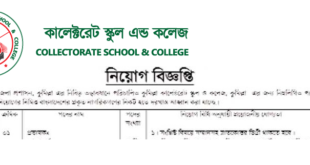 Collectorate School and College Job Circular 2018
